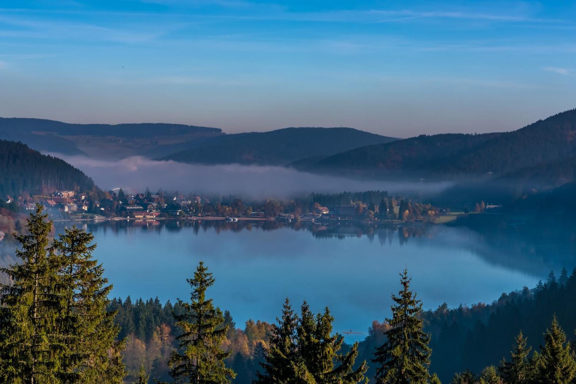 Haus Koenige Hinterzarten Esterno foto