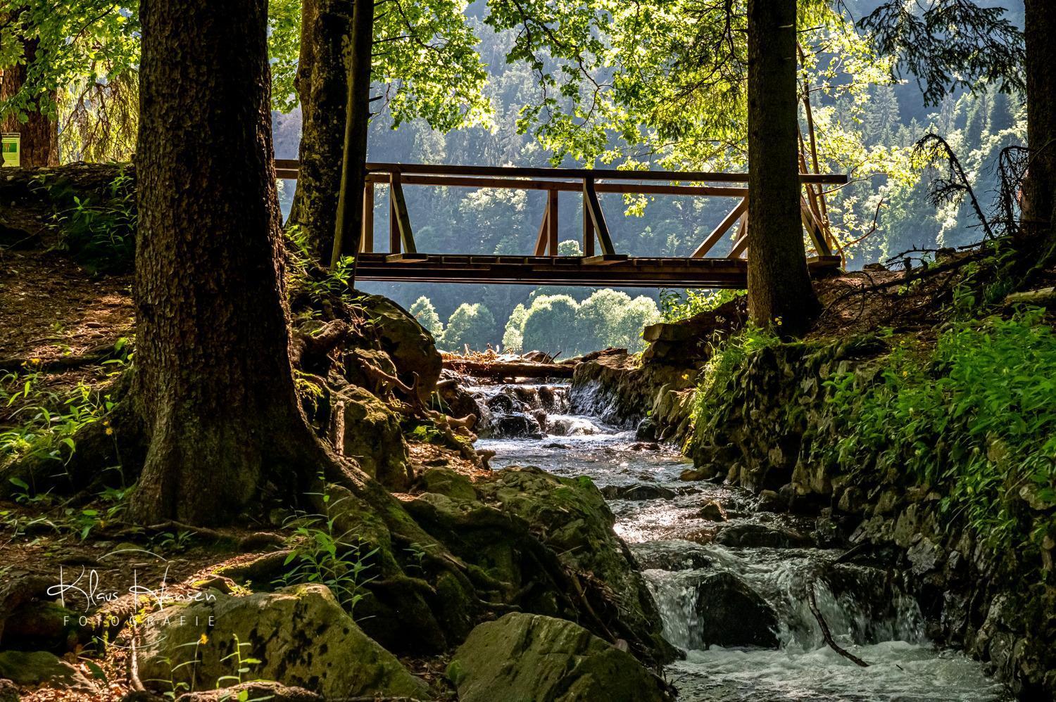 Haus Koenige Hinterzarten Esterno foto