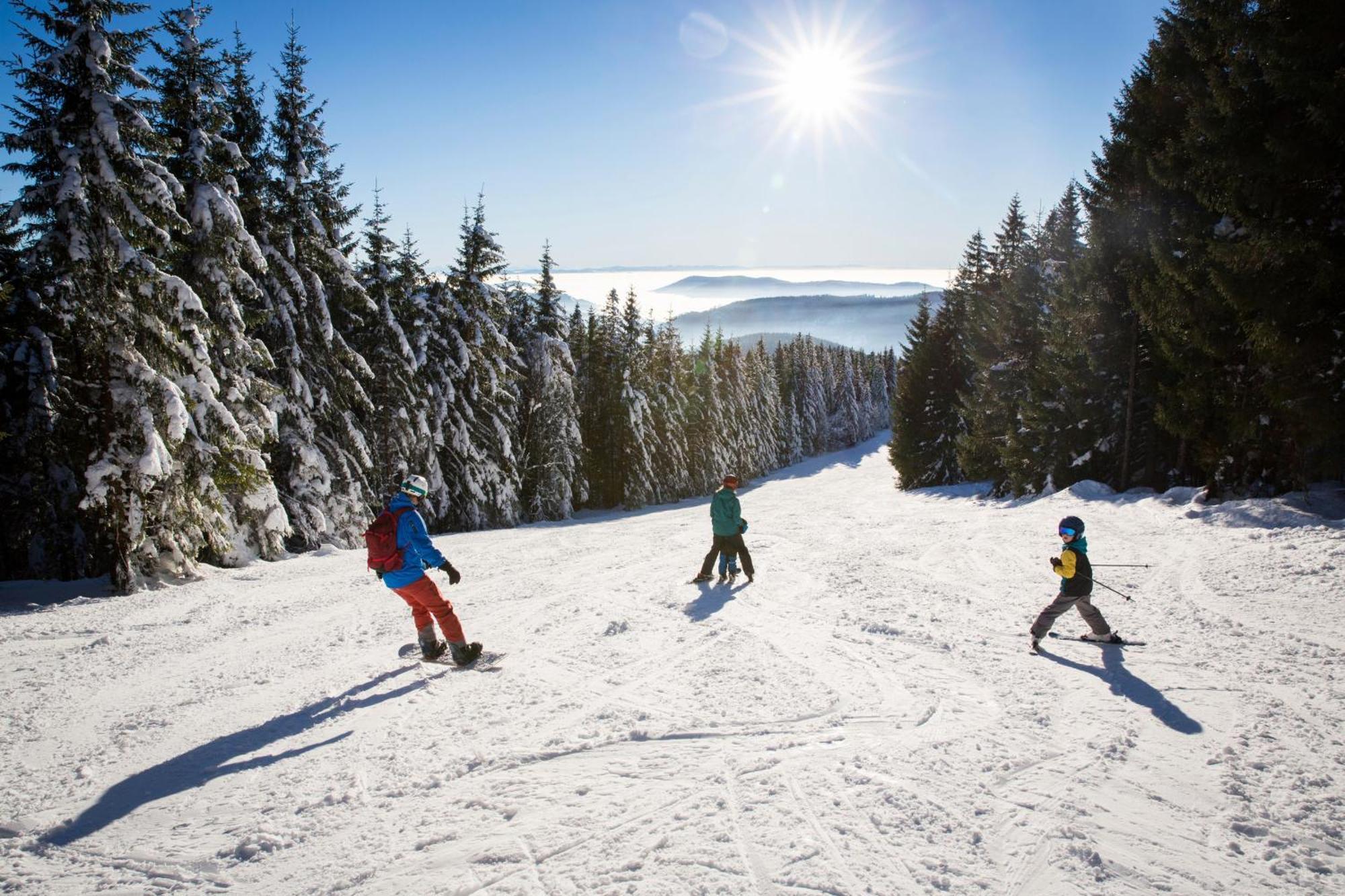 Haus Koenige Hinterzarten Esterno foto